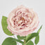 Dried Look English Rose Stem 50cm Blush - Pack of 12