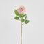 Dried Look English Rose Stem 50cm Blush - Pack of 12