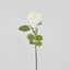Eliza Soft Touch Rose 80cm White - Pack of 12
