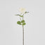 Eliza Soft Touch Rose 80cm White - Pack of 12