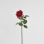 Belle Real Touch Rose Stem 65cm Red - Pack of 12