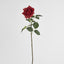 Belle Real Touch Rose Stem 65cm Red - Pack of 12