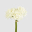 Amelia Real Touch Rose Bouquet Beige