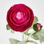 Clara Fuschia Ranunculus Spray
49cm - Pack of 24
