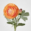 Clara Orange Ranunculus Spray
49cm - Pack of 24