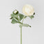 Clara Pure White Ranunculus Spray 49cm - Pack of 24