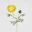 Clara Yellow Ranunculus Spray49cm - Pack of 24