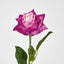 Ingrid Rose Real Touch Fuschia
46cm - Pack of 48