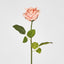 Ingrid Rose Real Touch Peach
46cm - Pack of 48