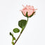 Ingrid Rose Real Touch Peach
46cm - Pack of 48