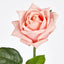 Ingrid Rose Real Touch Peach
46cm - Pack of 48