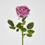 Dianna Real Touch Rose Steam Autumn Pink
60cm - Pack of 30