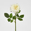 Dianna Real Touch Rose Steam Light Champagne
60cm - Pack of 30