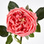 Dianna Real Touch Rose Steam Orange
60cm - Pack of 30