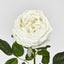 Dianna Real Touch Rose Stem White 60cm - Pack of 30