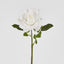 Walter Real Touch Rose Stem Ivory
61cm - Pack of 24