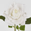 Walter Real Touch Rose Stem Ivory
61cm - Pack of 24