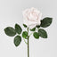Walter Real Touch Rose Stem Soft Pink 61cm - Pack of 24