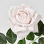 Walter Real Touch Rose Stem Soft Pink 61cm - Pack of 24