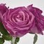 Willow Rose Bunch 29cm Dark Pink - Pack of 12