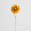 Ranunculus Stem 56cm Orange - Pack of 12