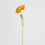Ranunculus Stem 56cm Orange - Pack of 12