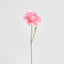 Ranunculus Stem 56cm Pink - Pack of 12