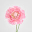 Ranunculus Stem 56cm Pink - Pack of 12