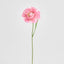 Ranunculus Stem 56cm Pink - Pack of 12