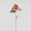 Chelsea Rose Stem 97cm Dark Pink