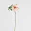 Chelsea Rose Stem 97cm Light Pink