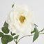 Chelsea Rose Stem 97cm White
