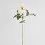 Chelsea Rose Stem 97cm White