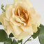 Chelsea Rose Stem 97cm Yellow