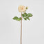 Cabbage Real Touch Rose Stem 49cm Blush
