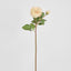 Cabbage Real Touch Rose Stem 49cm Blush