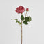 Cabbage Real Touch Rose Stem 49cm Rouge
