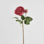 Cabbage Real Touch Rose Stem 49cm Rouge