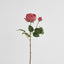 Cabbage Real Touch Rose Stem 49cm Rouge