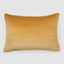 Bloom 40 x 60cm Velvet Cushion Beige