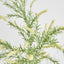 Sage Branch Dusty 92cm Cream