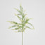 Sage Branch Dusty 92cm Cream