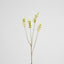 Salvia Nutans Sage Spray 84cm Cream - Pack of 12