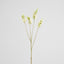 Salvia Nutans Sage Spray 84cm Cream - Pack of 12