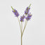 Salvia Nutans Sage Spray 84cm Lavender - Pack of 12