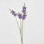 Salvia Nutans Sage Spray 84cm Lavender - Pack of 12