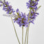 Salvia Nutans Sage Spray 84cm Lavender - Pack of 12