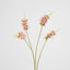 Salvia Nutans Sage Spray 84cm Pink