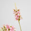 Salvia Nutans Sage Spray 84cm Pink