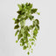 Potted Hanging Real Touch Scindapsus Bush 83cm